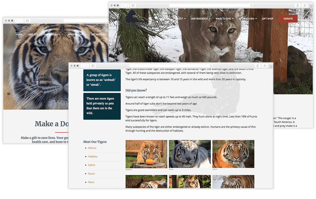 WildCat Ridge Sanctuary - stefanie kraus design website